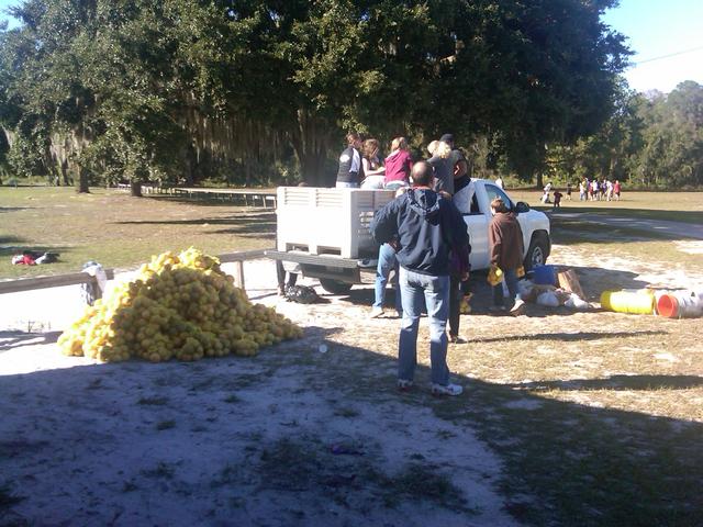 IMG00033-20101106-1546