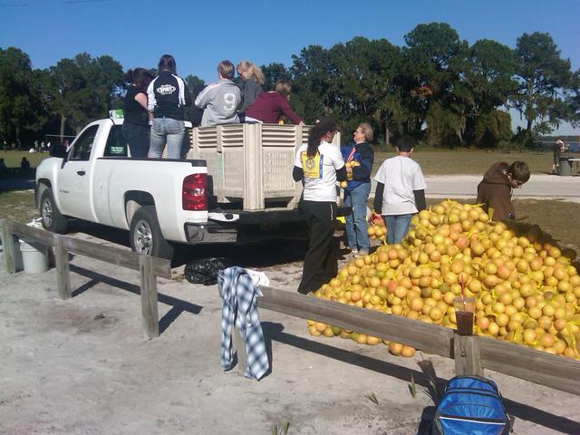 IMG00034-20101106-1546