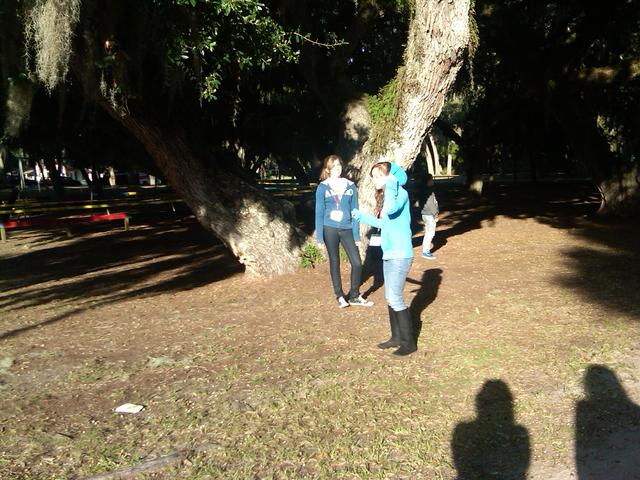 IMG00041-20101107-0819