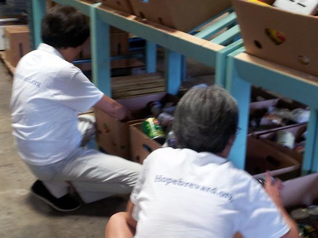 Picture 006 _800x600_.jpg