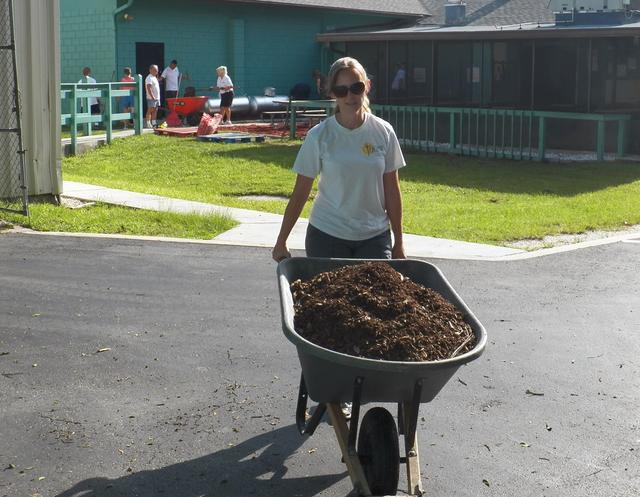 Getting rid of the old debris