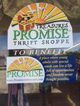 Wednesday Morning: Promise in Brevard Thrift Shoppe